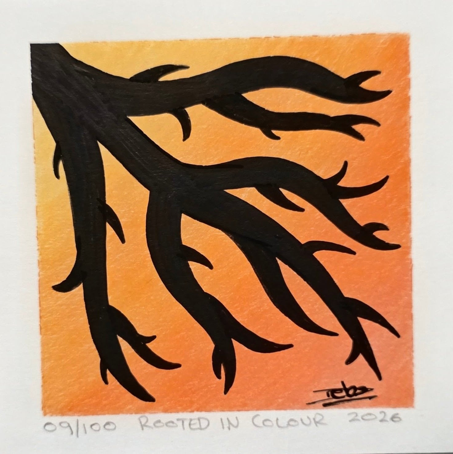 Rooted In Colour - Mini