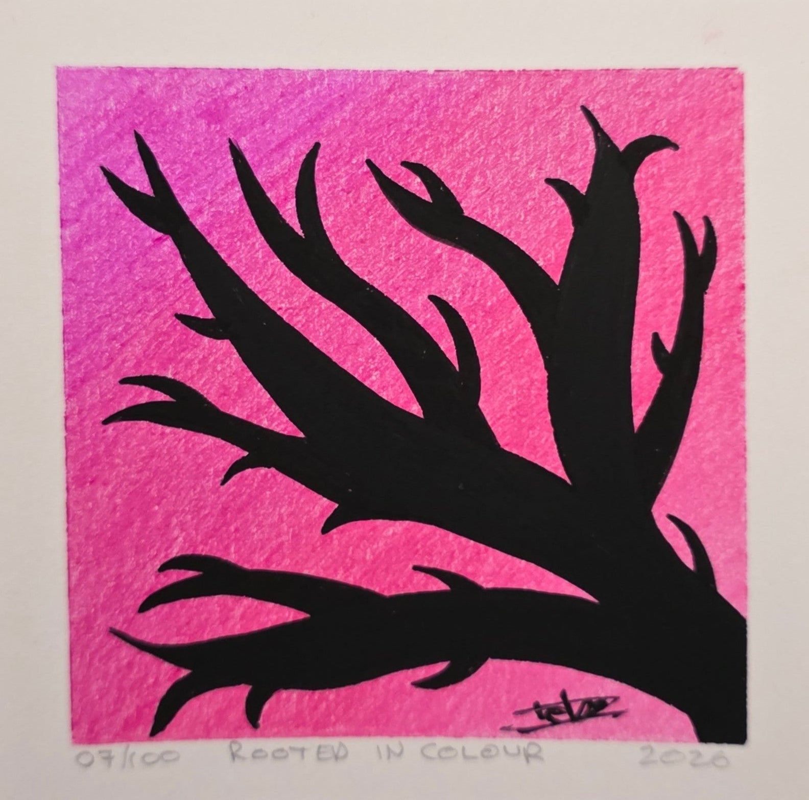 Rooted In Colour - Mini