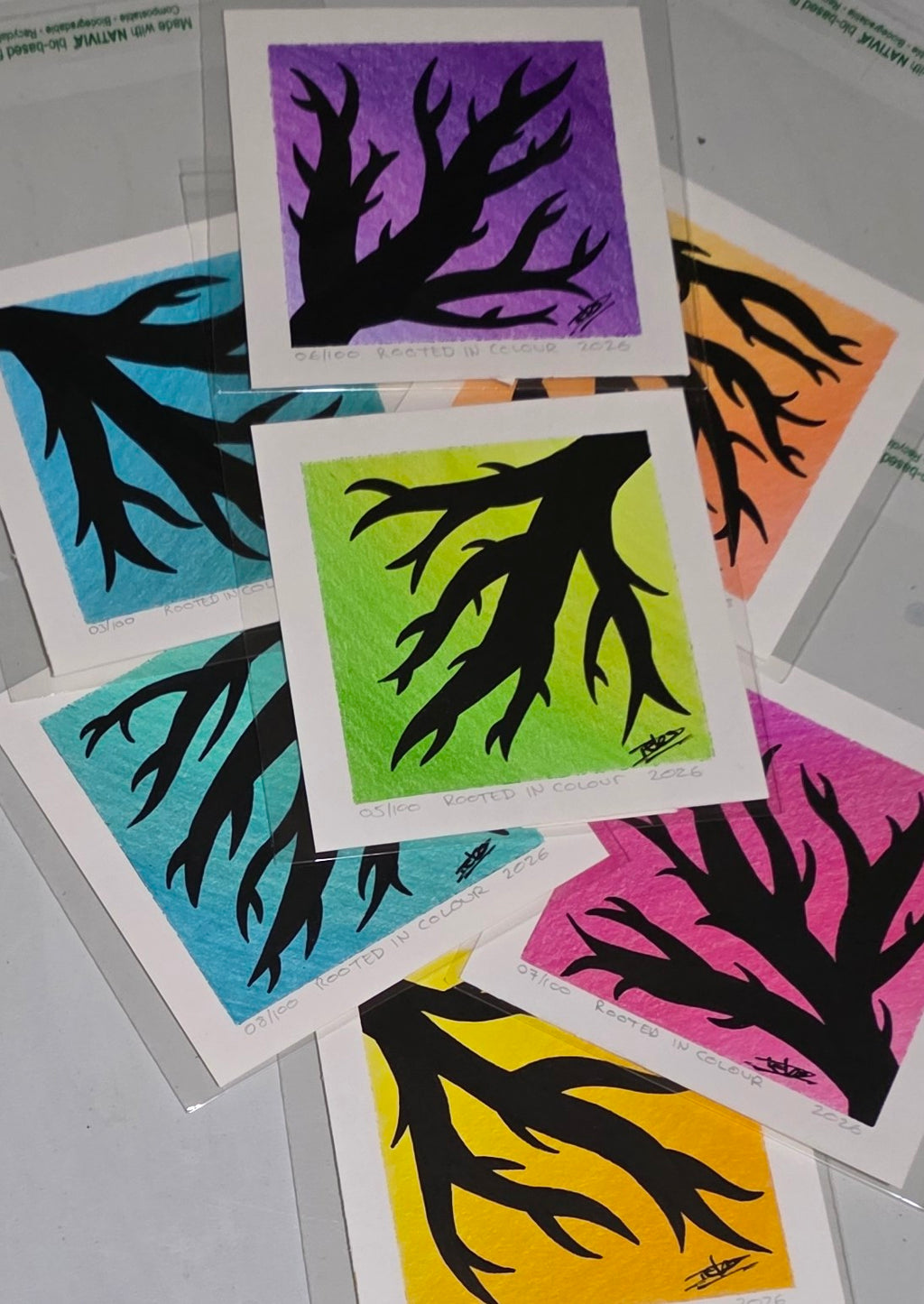 Rooted In Colour - Mini