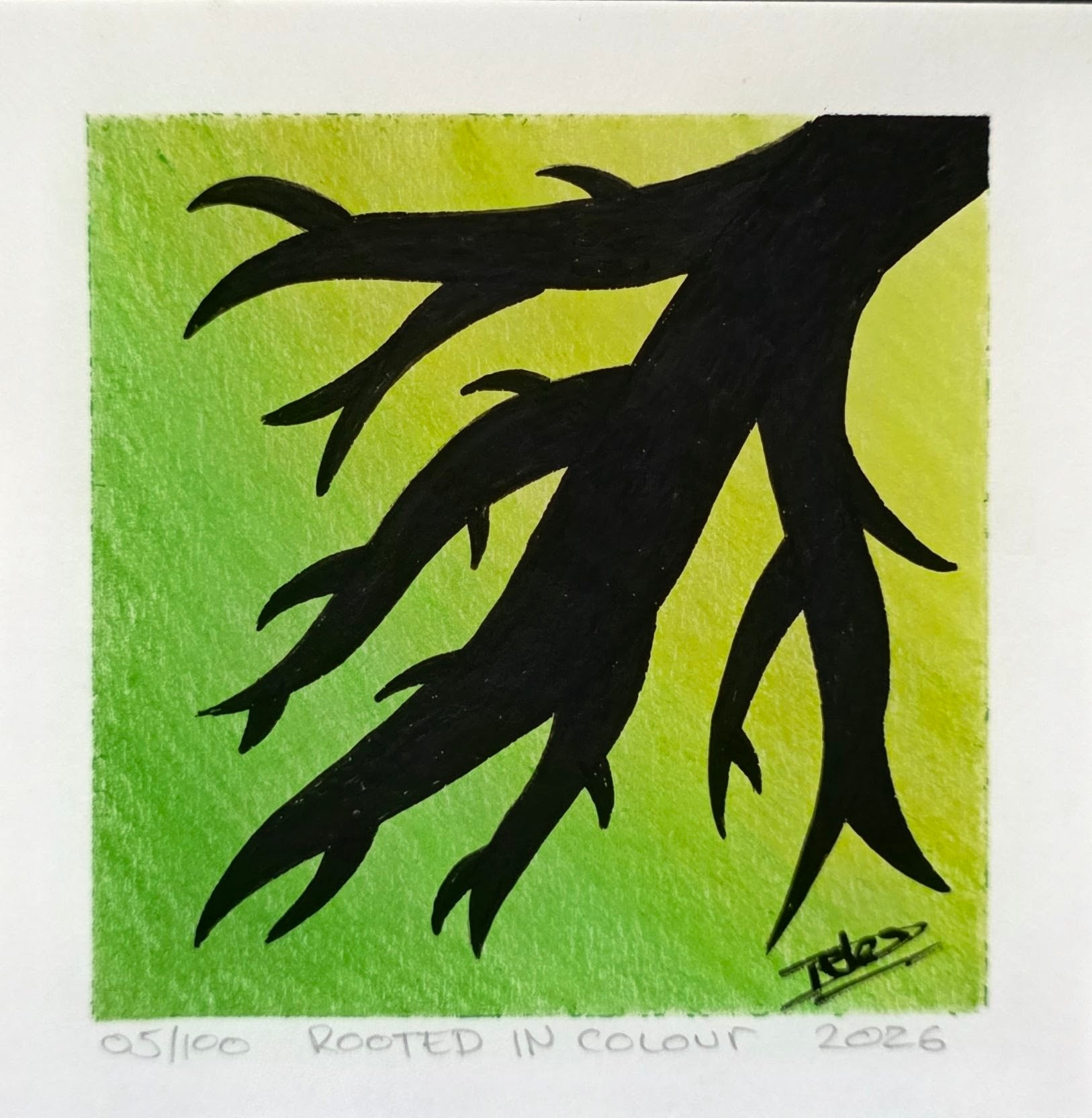 Rooted In Colour - Mini